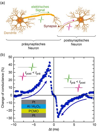 Frontiers  Synaptic Plasticity in Memristive Artificial Synapses