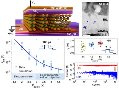 Threshold switching in vertically aligned MoS2/SiOx heterostructures based on silver ion migration
