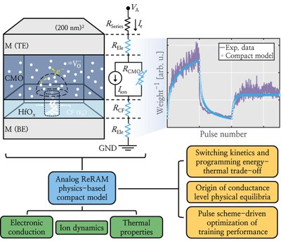 Study of Resistive Switching Dynamics and Memory States Equilibria in Analog Filamentary Conductive-Metal-Oxide/HfOx ReRAM via Compact Modeling