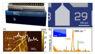 Influence of Moisture on the Resistive Switching of Hexagonal Boron Nitride-Based Memristors